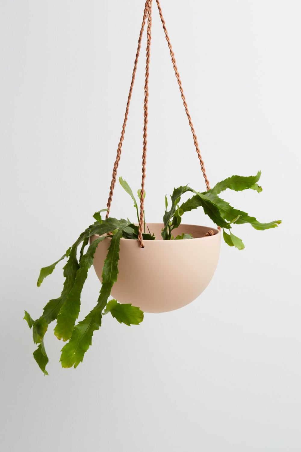 Salt Dome Hanging Pot