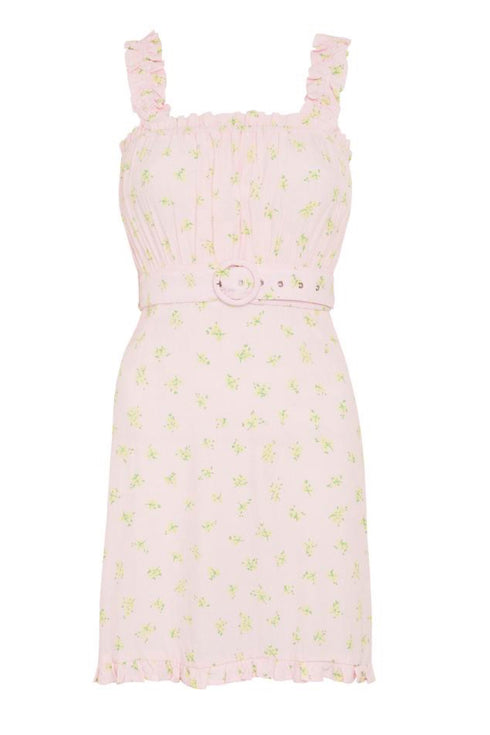 Pink Luda Floral Mid Summer Mini Dress