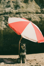 Topanga Umbrella