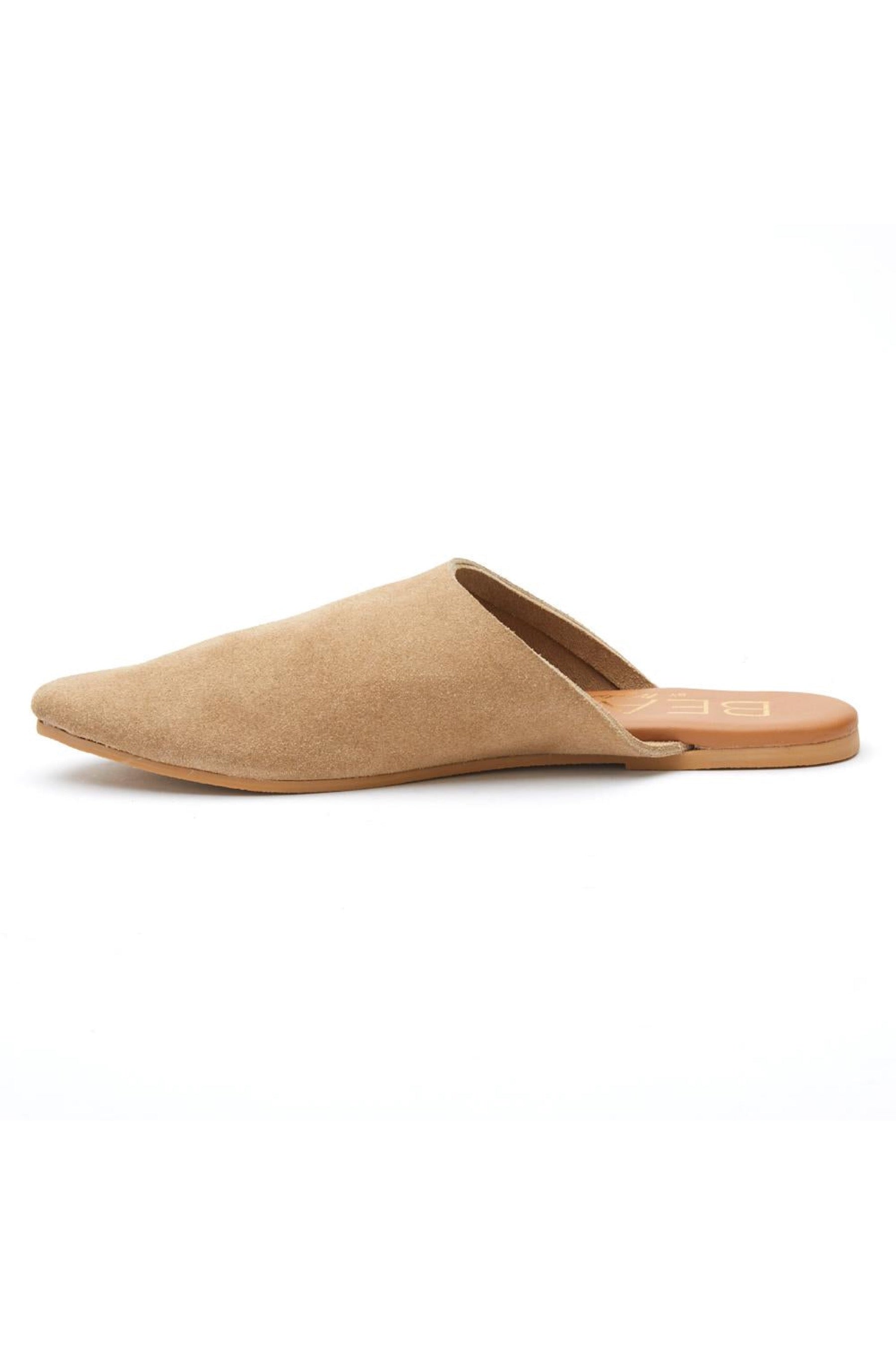 Natural Siren Mule