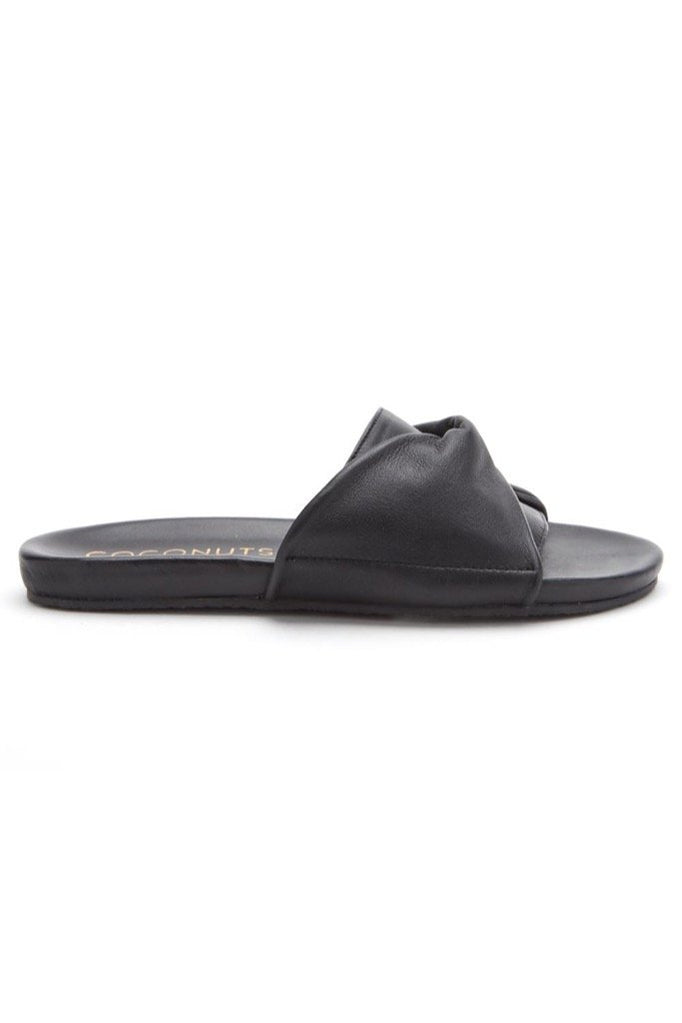 Black Botanical Slides