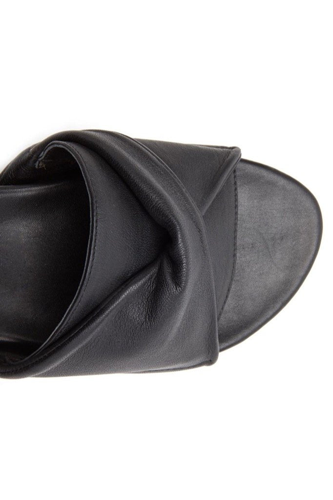 Black Botanical Slides