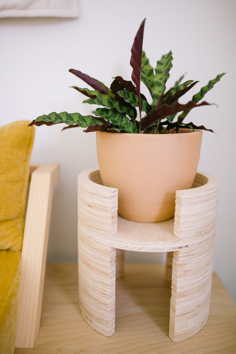 X PRISM Anza Plant Stand