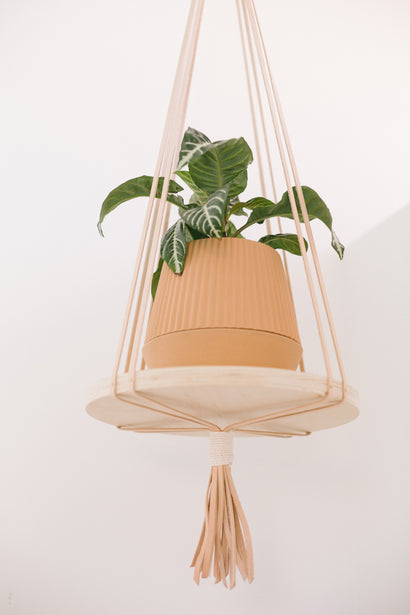 X PRISM Playa Hanger