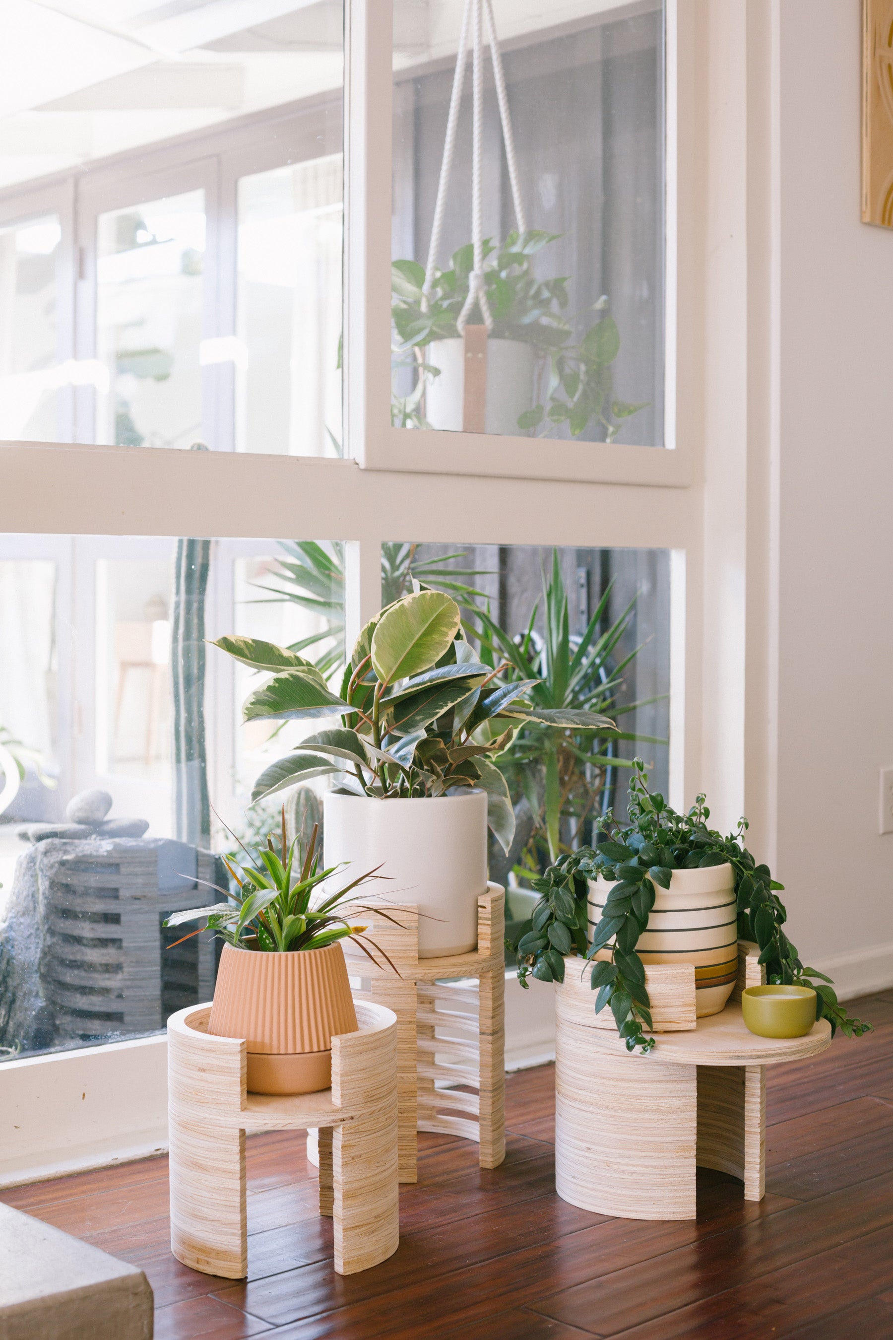 mojave indoor plant X PRISM Mojave Plant Stand