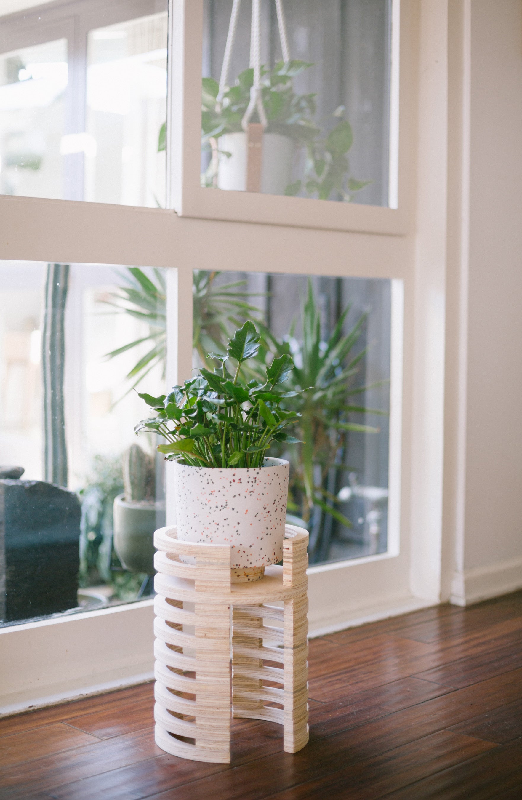 mojave indoor plant X PRISM Mojave Plant Stand – Prism Boutique
