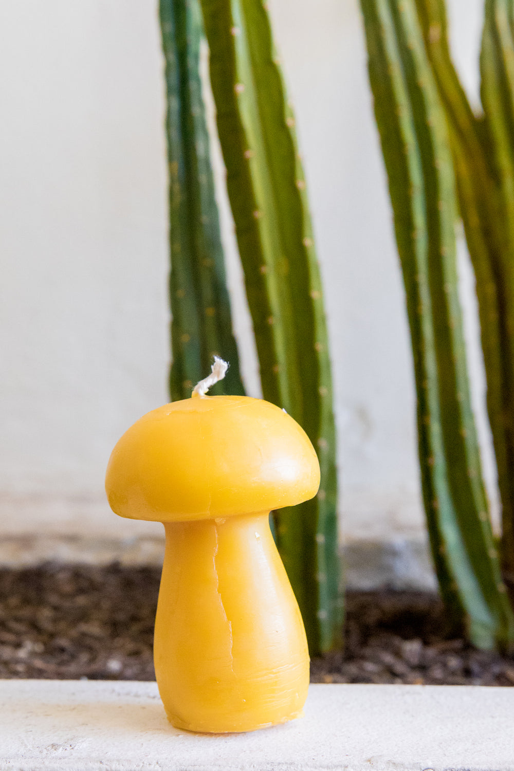 Natural Beeswax Mushroom Candle