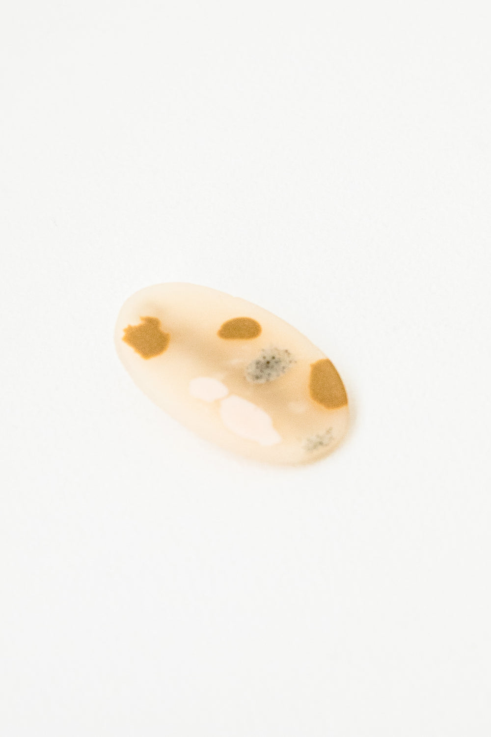Terrazzo Cloudless Oval Clip