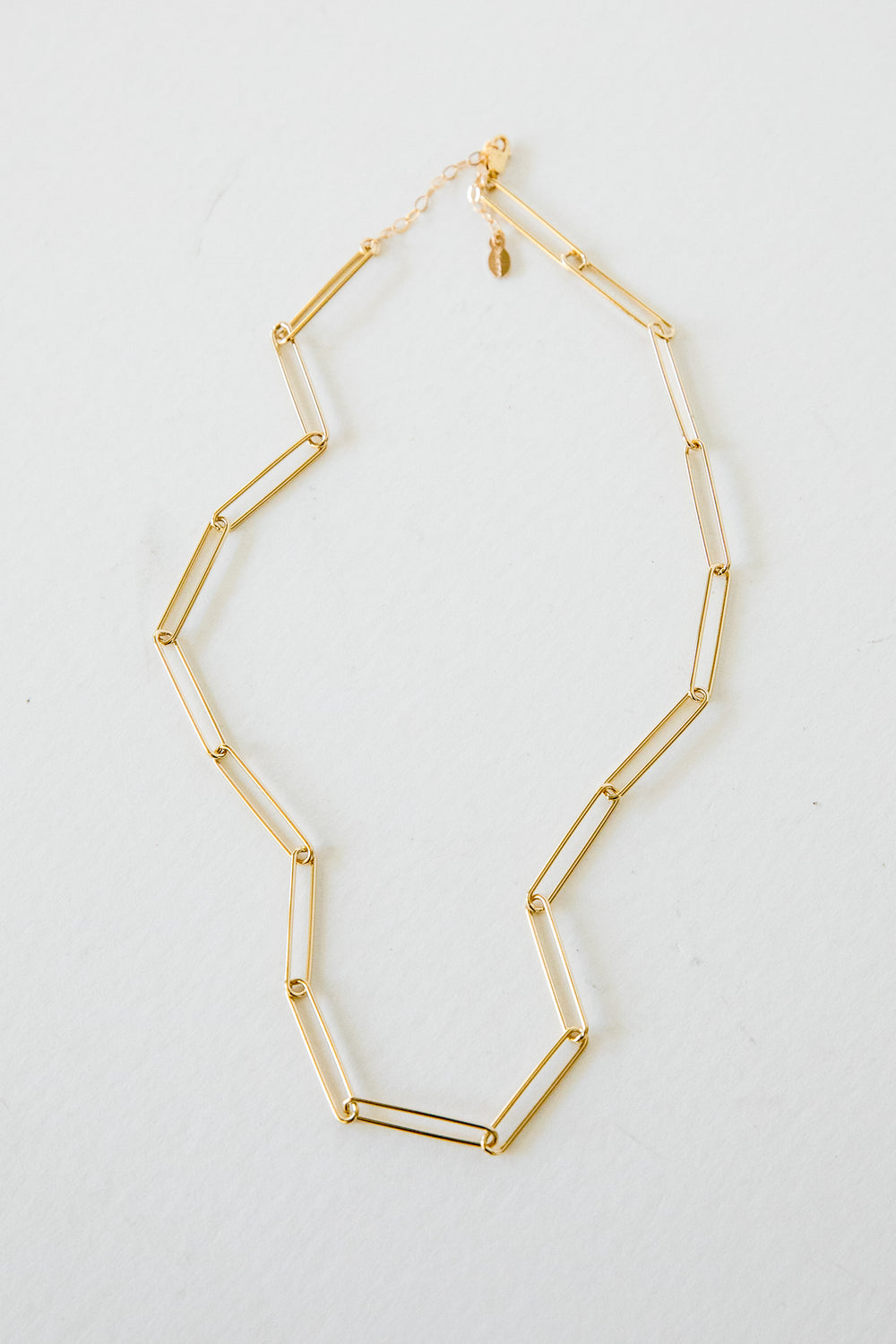 Gold Long Vida Chain Necklace