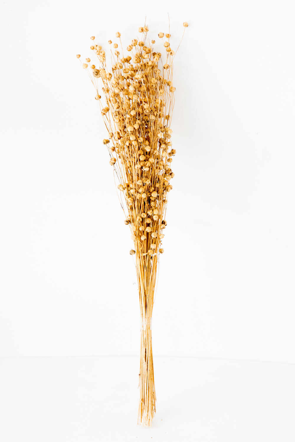Dried Natural Flax Bouquet