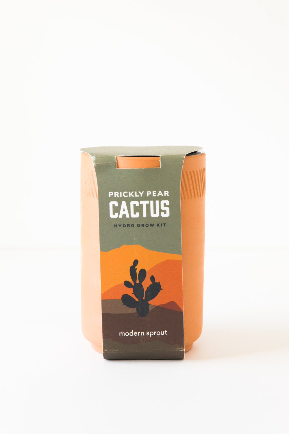 Prickly Pear Cactus Terracotta Kit