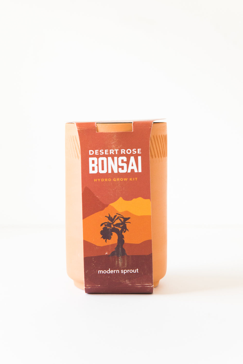 Desert Rose Bonsai Terracotta Grow Kit