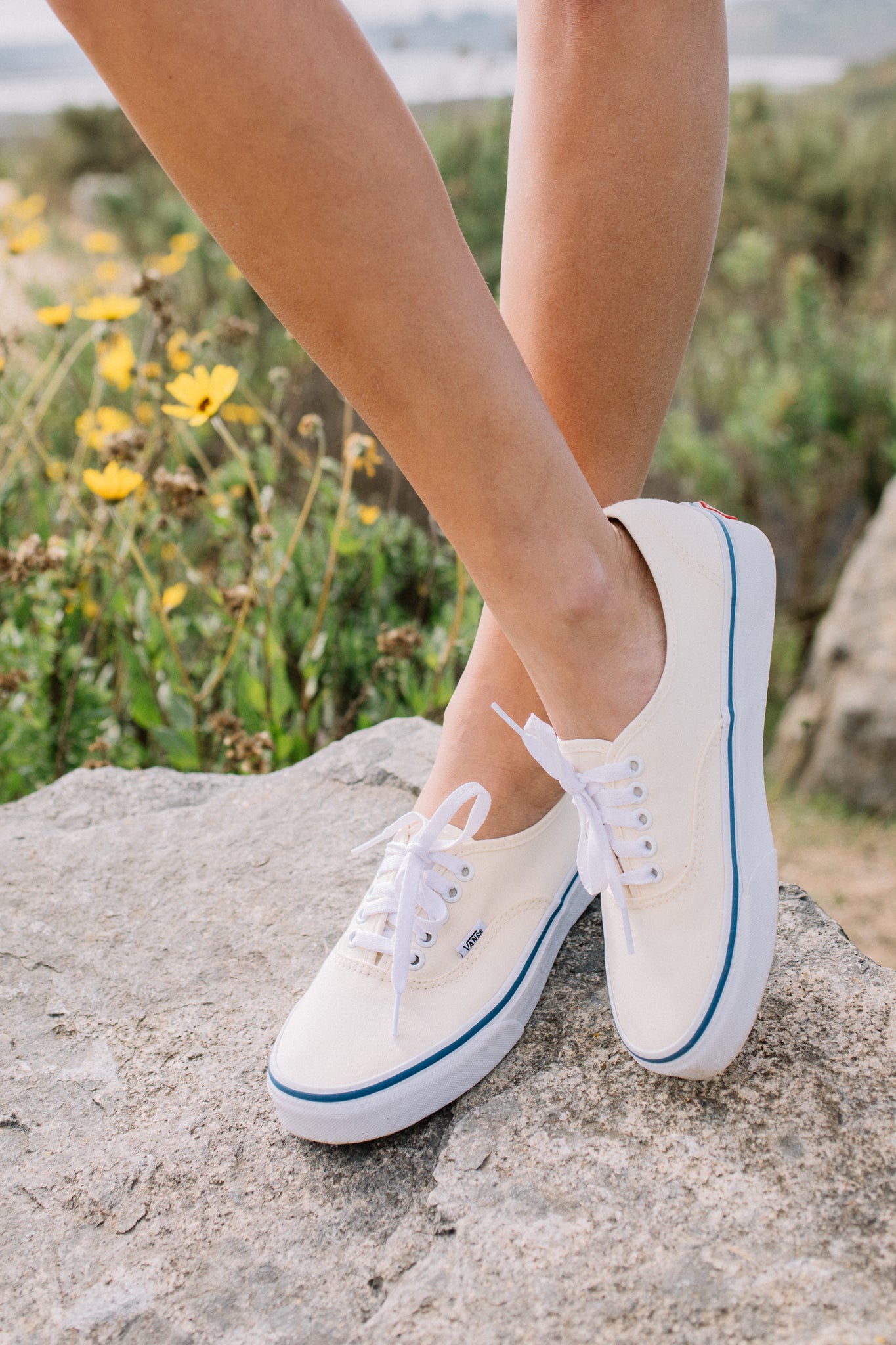 Vans women online sales