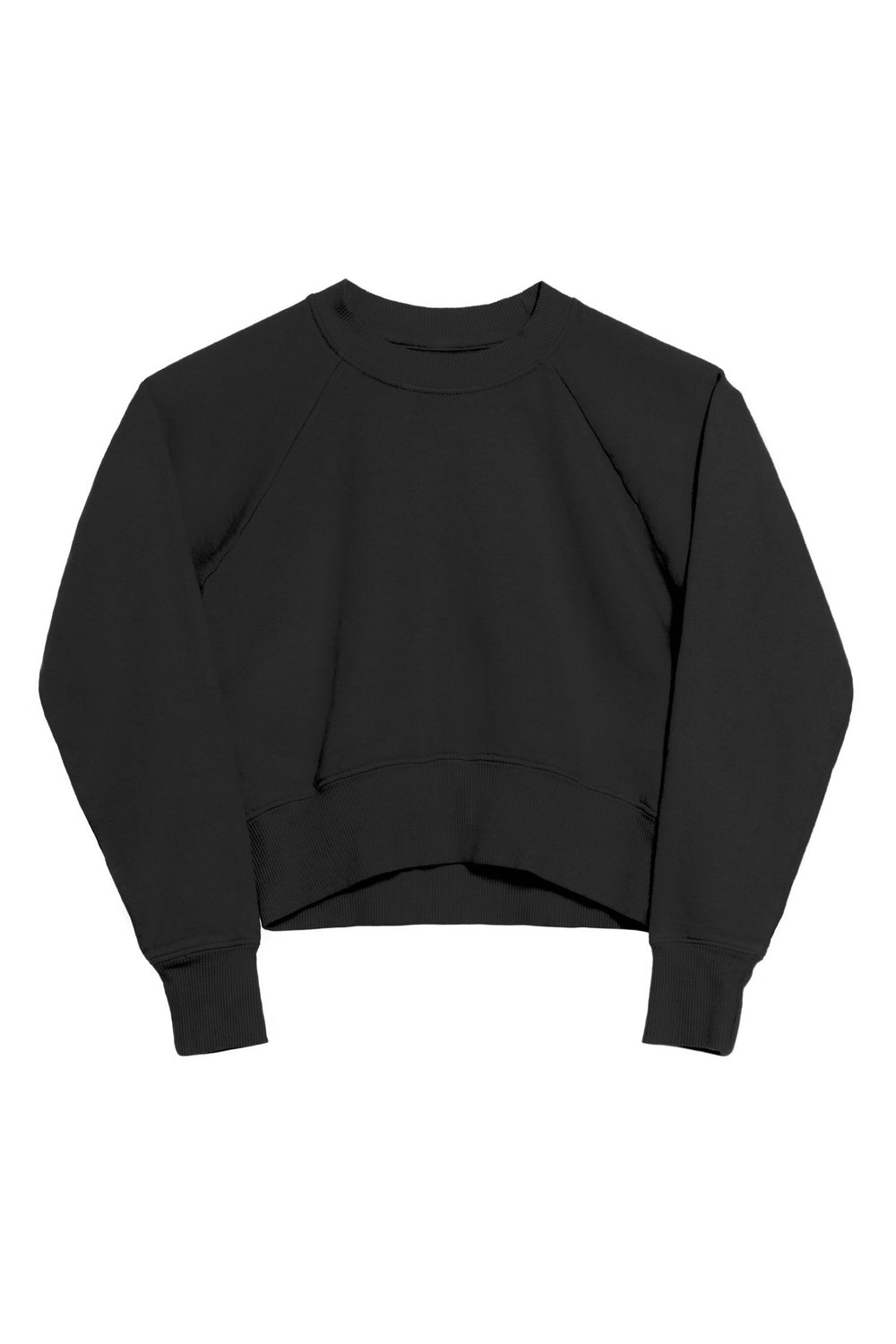 Black Crop Sweatshirt